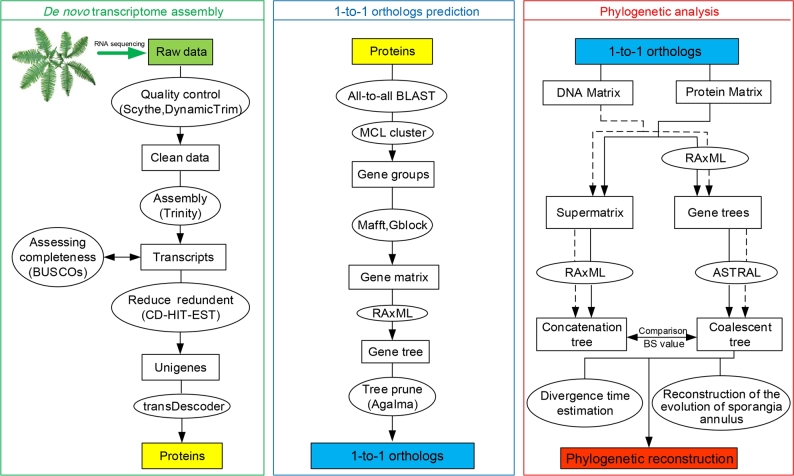 Figure 2: