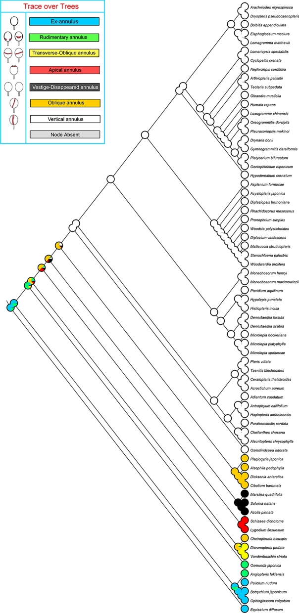 Figure 4: