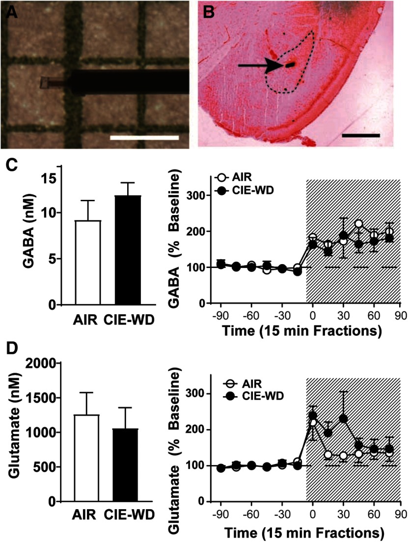 Figure 10.