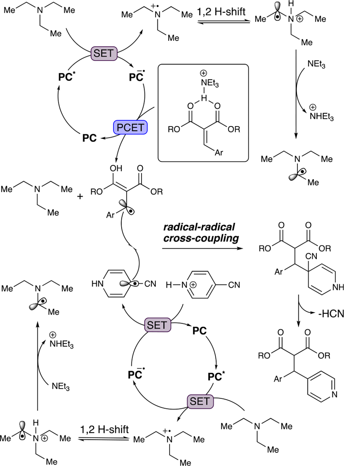 Scheme 6.