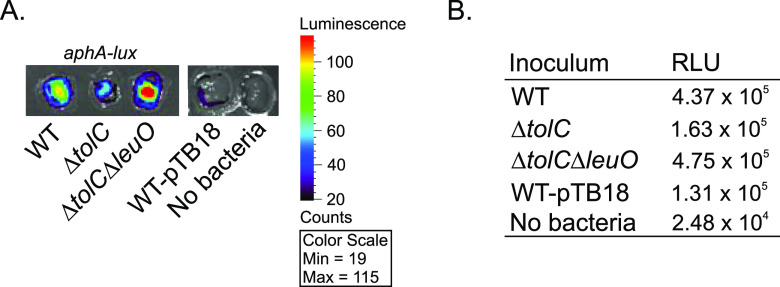 FIG 4