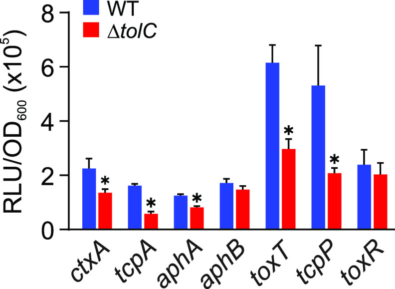 FIG 2