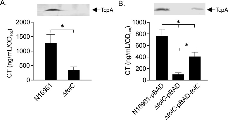 FIG 1