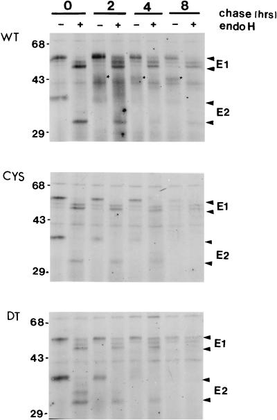 FIG. 5