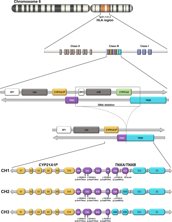 Figure 1