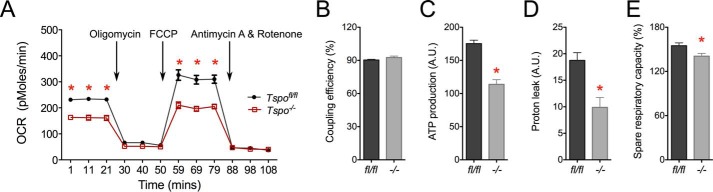 FIGURE 11.