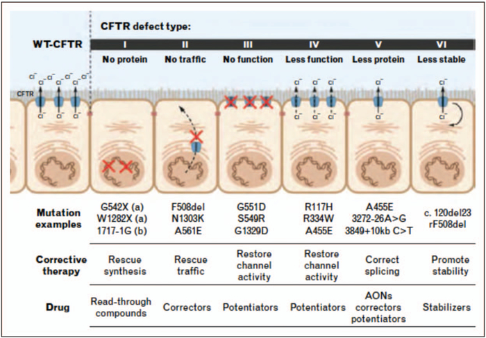 FIGURE 1.