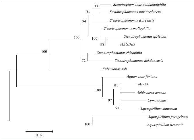 Figure 5