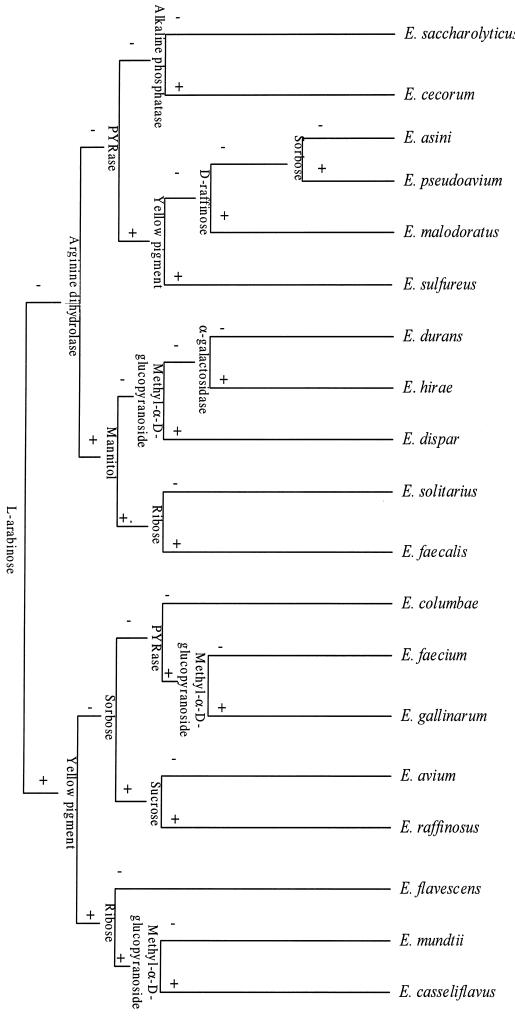 FIG. 1