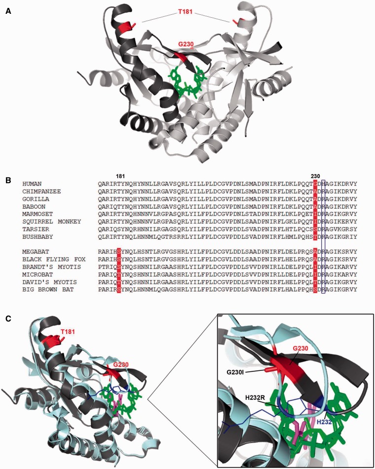 Fig. 6.—