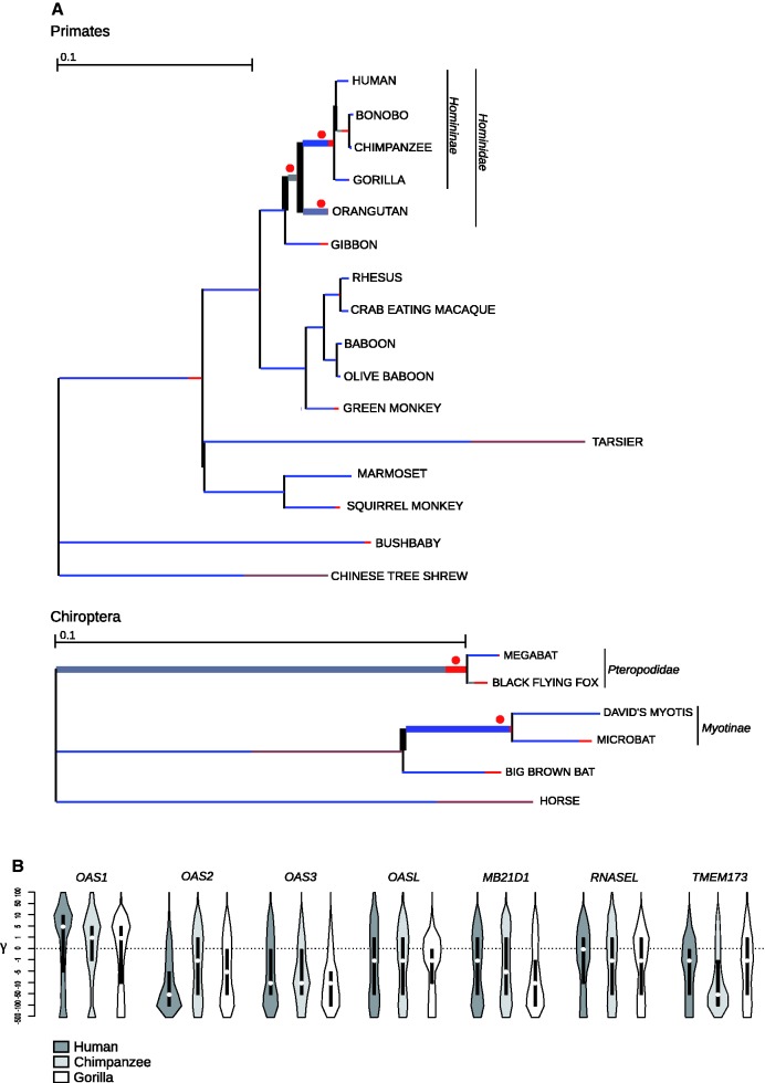 Fig. 3.—