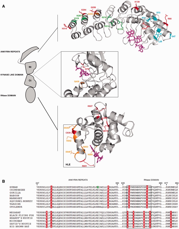 Fig. 7.—