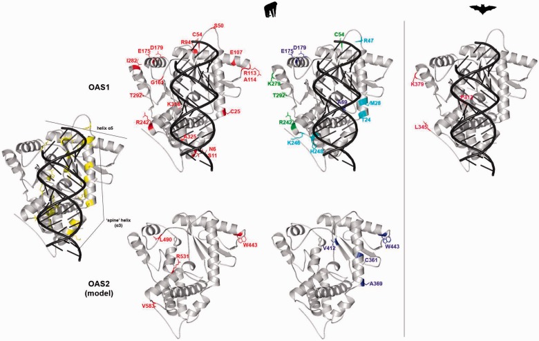 Fig. 4.—