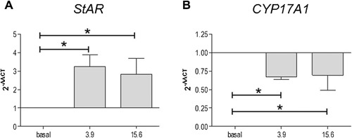 Figure 5