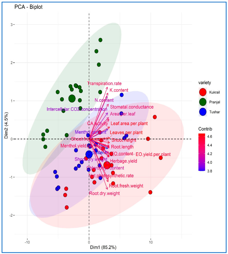 Figure 13
