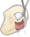 Figure 5: