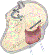 Figure 12: