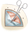 Figure 6: