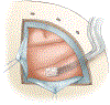 Figure 7: