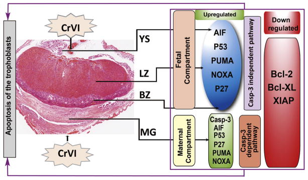 Fig. 16