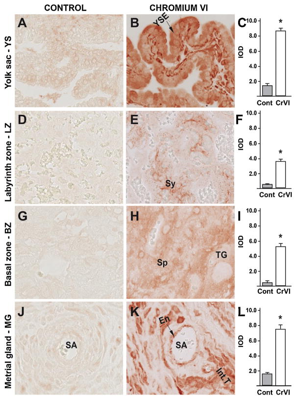 Fig. 11