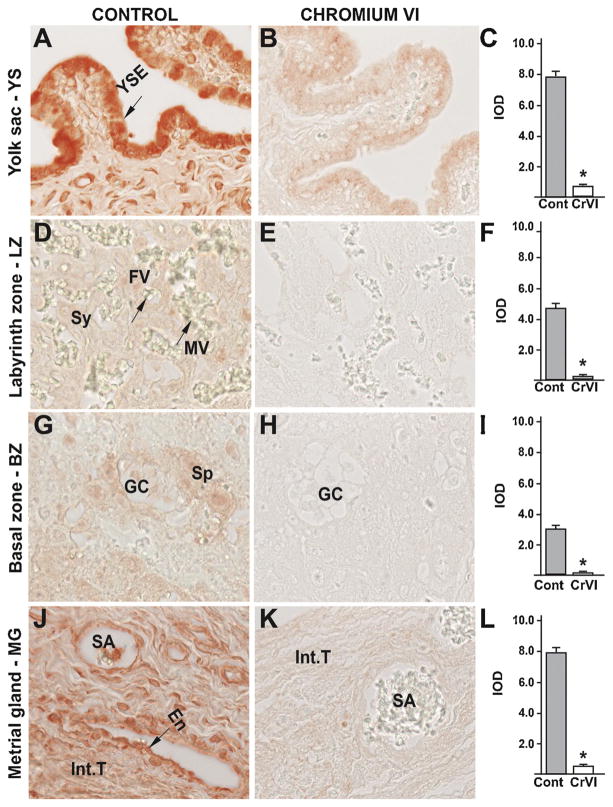 Fig. 15