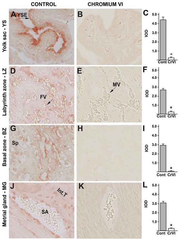 Fig. 13