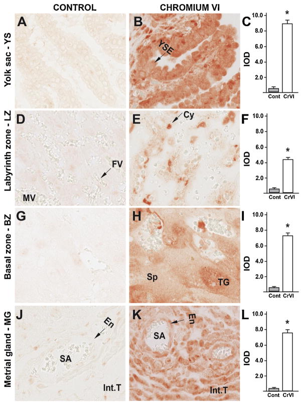 Fig. 9