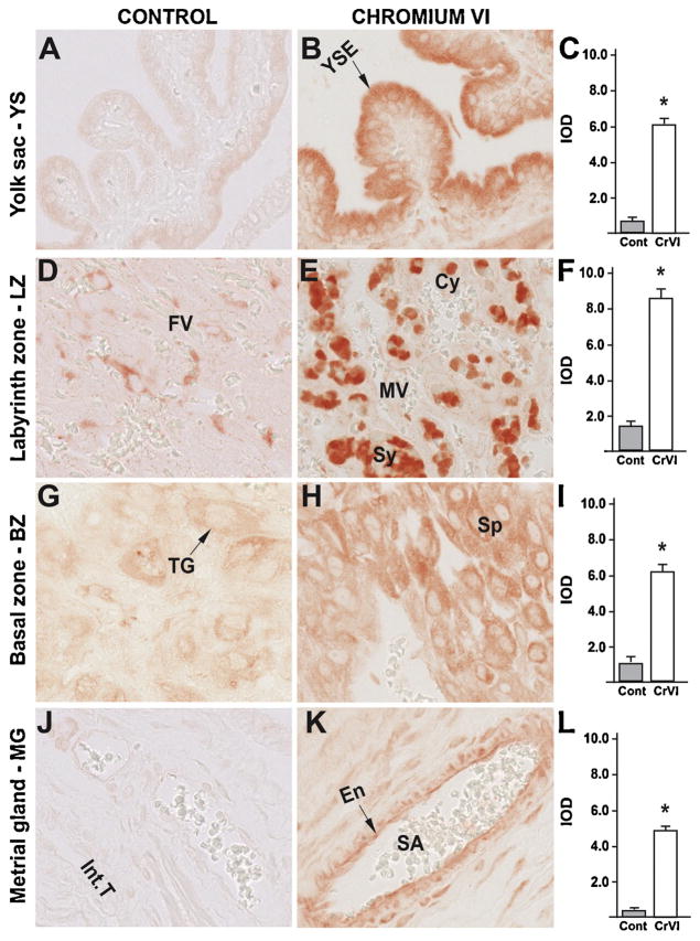 Fig. 10