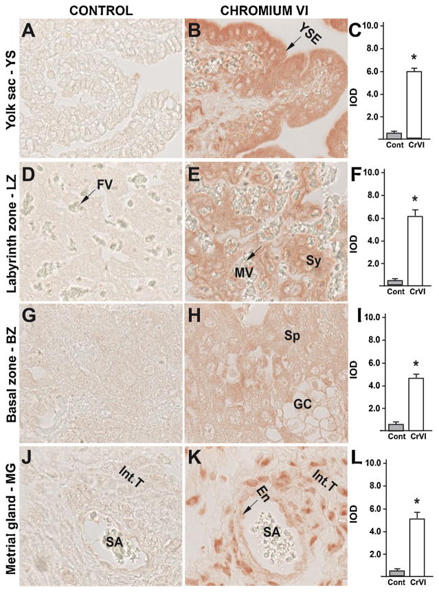 Fig. 12