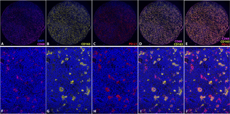 Figure 3