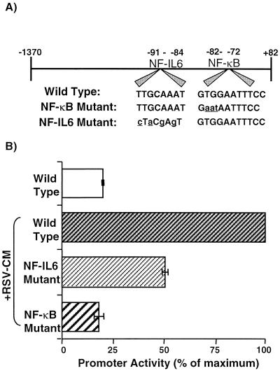 FIG. 7