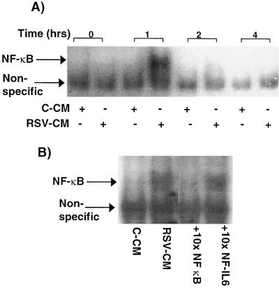 FIG. 5