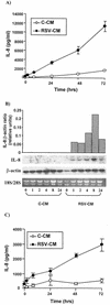 FIG. 1