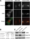 Figure 4.