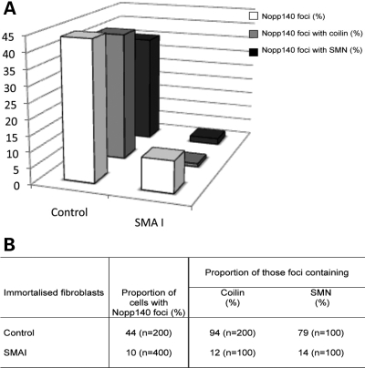 Figure 2.