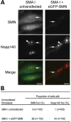 Figure 3.