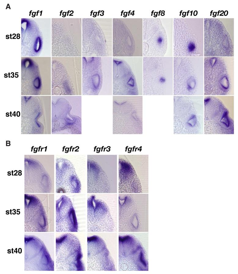 Figure 10