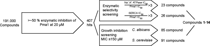 FIG 1