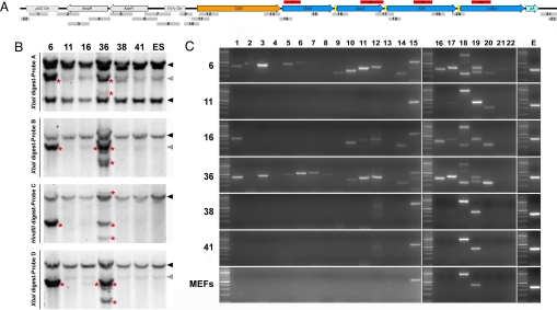 Fig. 2.