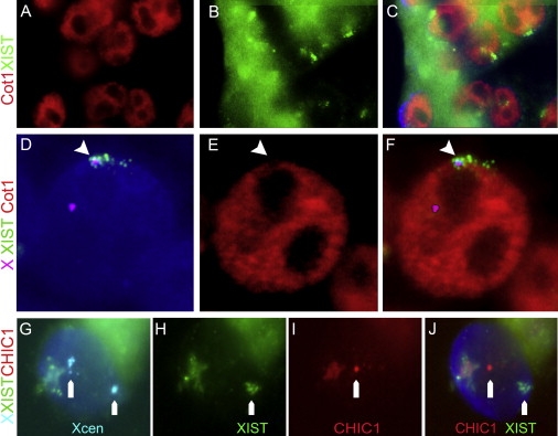 Figure 2