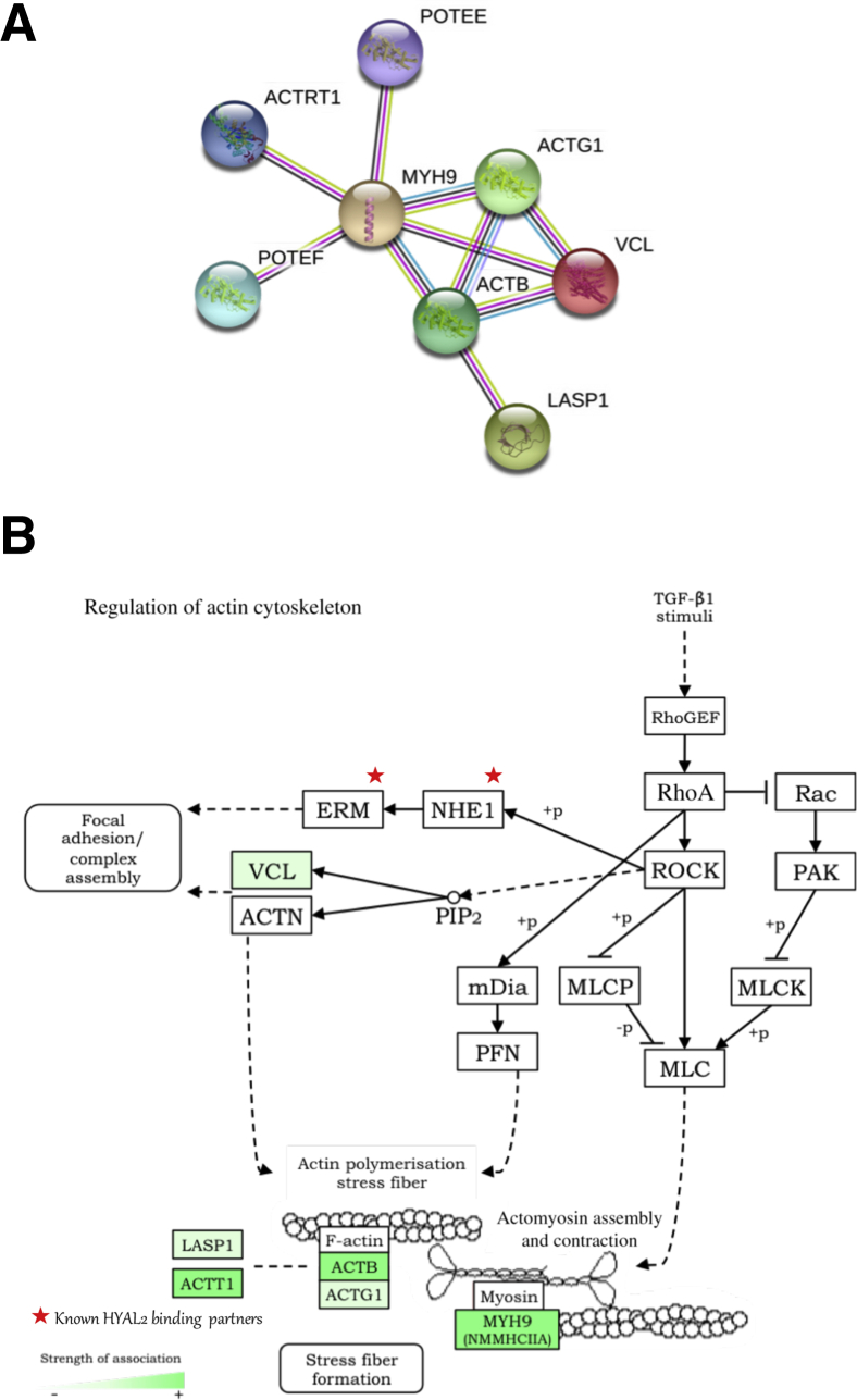 Figure 5