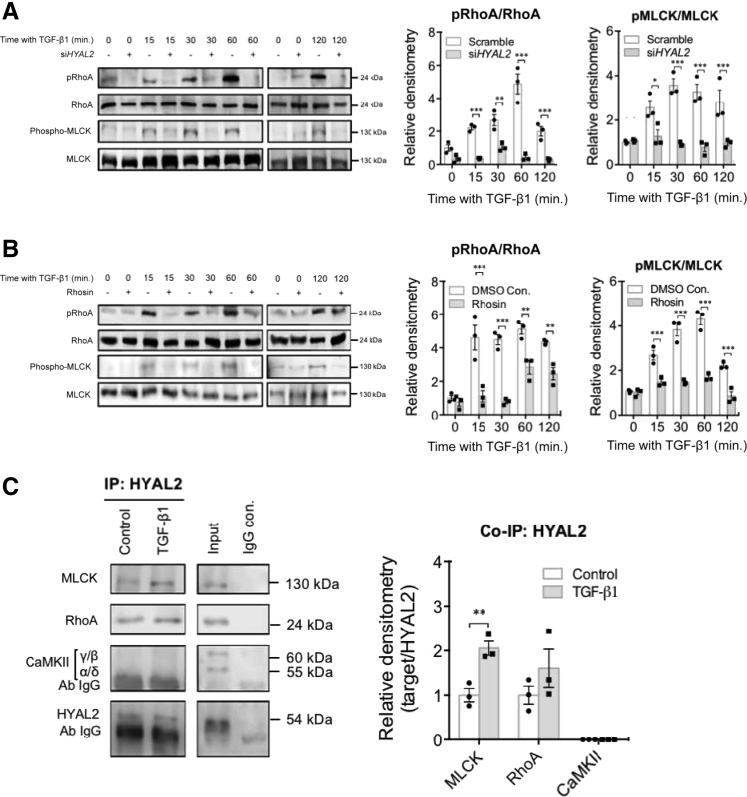 Figure 6