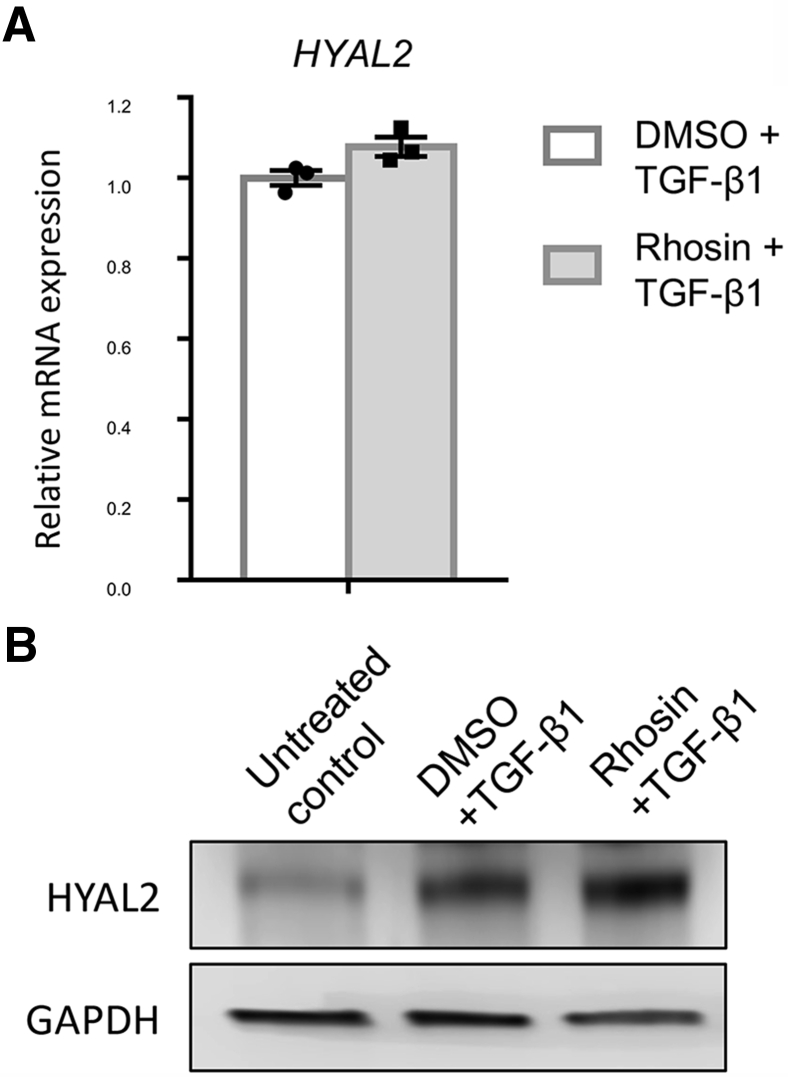 Figure 9