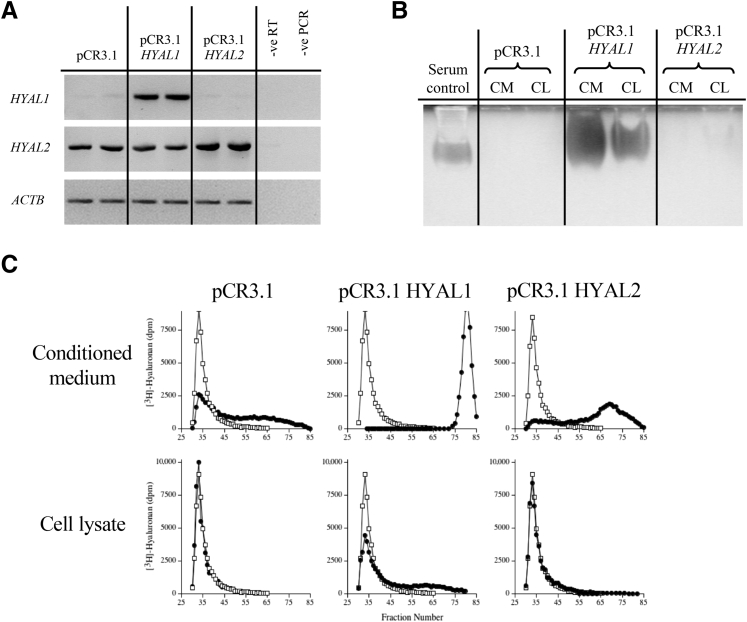 Figure 3