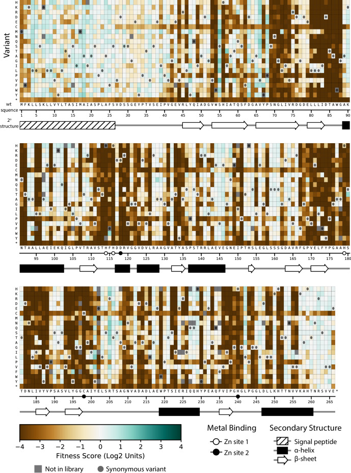 Figure 3—figure supplement 1.