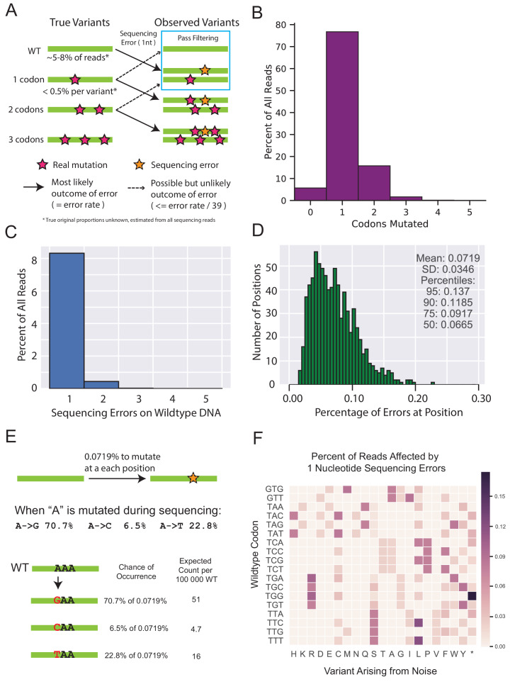 Figure 1—figure supplement 4.