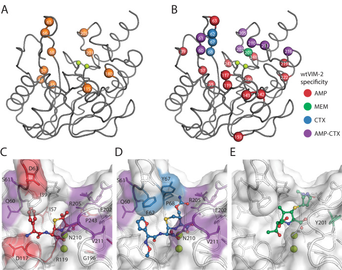 Figure 7.