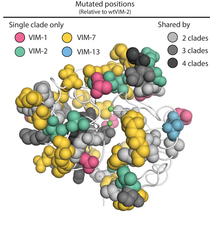 Figure 8—figure supplement 2.