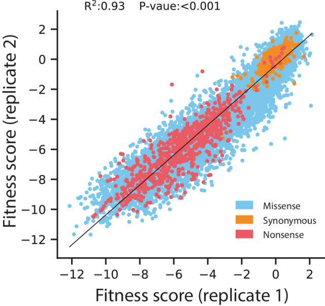 Figure 5—figure supplement 1.